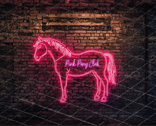 Pink Pony Brick