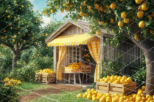 LEMONADE FARM - PKP