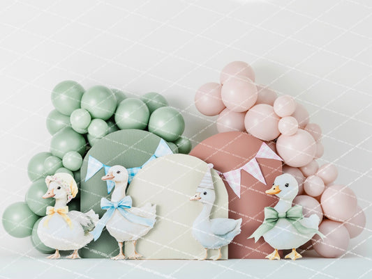 ONE SILLY GOOSE - AM