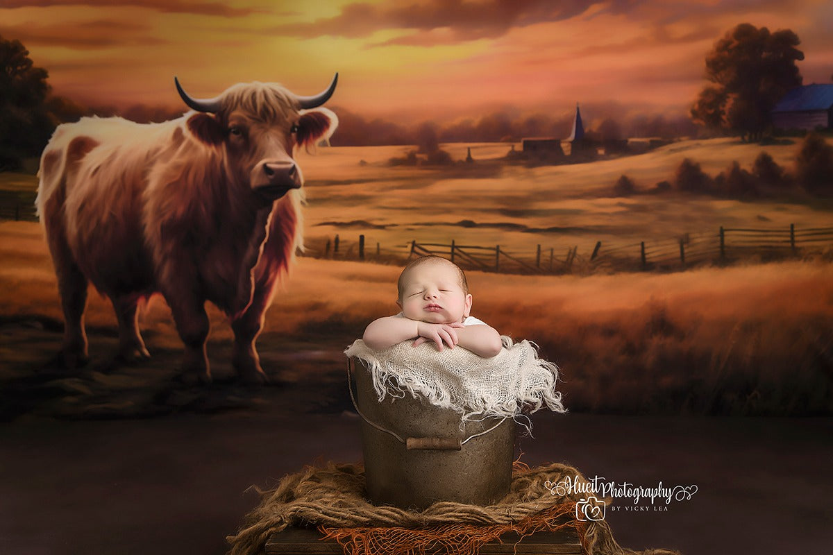 HIGHLAND SUNSET - VICKY HUEIT