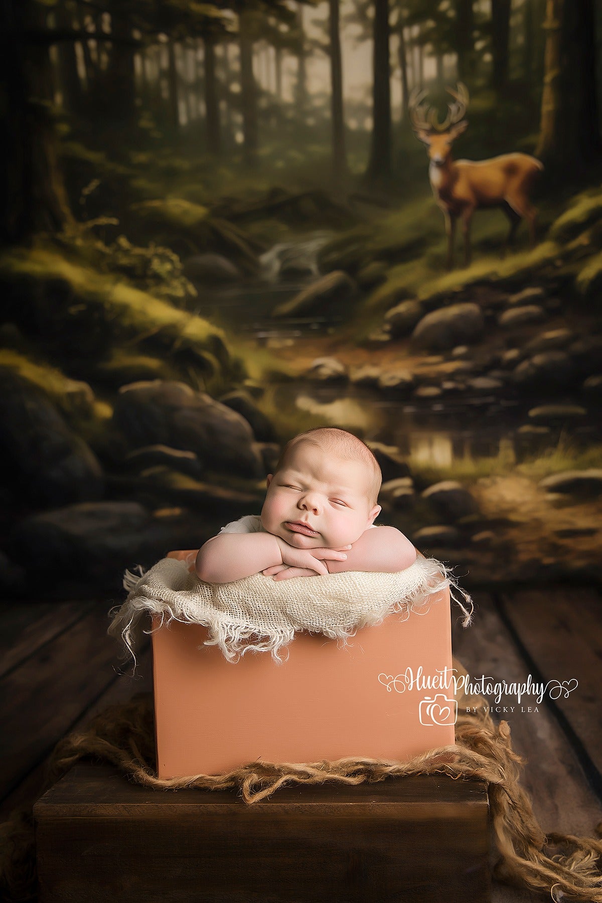 FOREST BABY - VICKY HUEIT