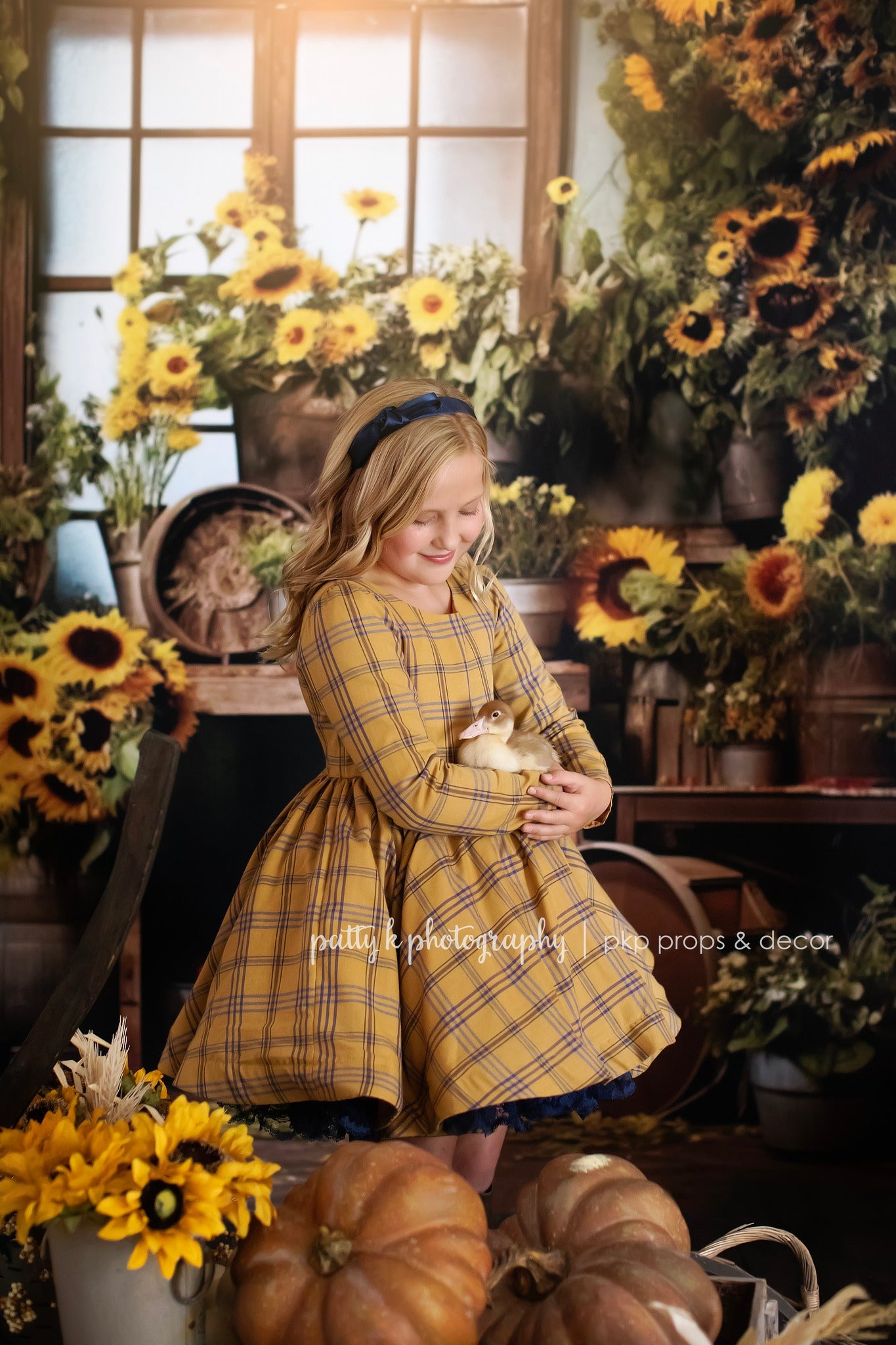 SUNFLOWERS SHED - PKP