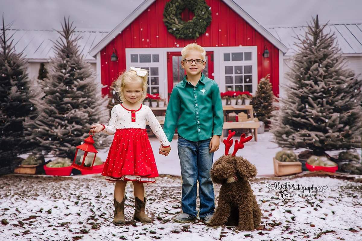 Country Tree Farm - PKP