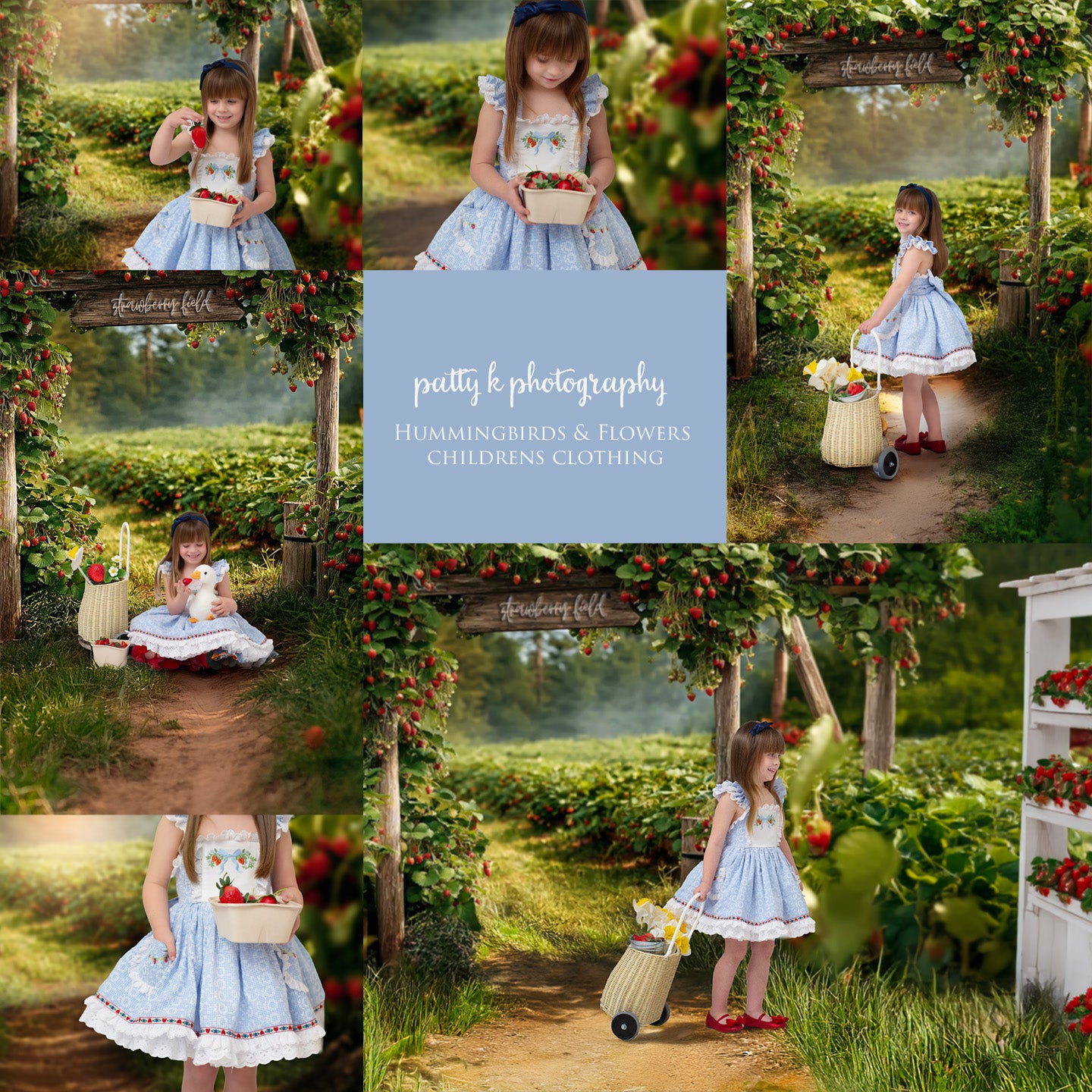 Strawberry Field Sweep - PKP