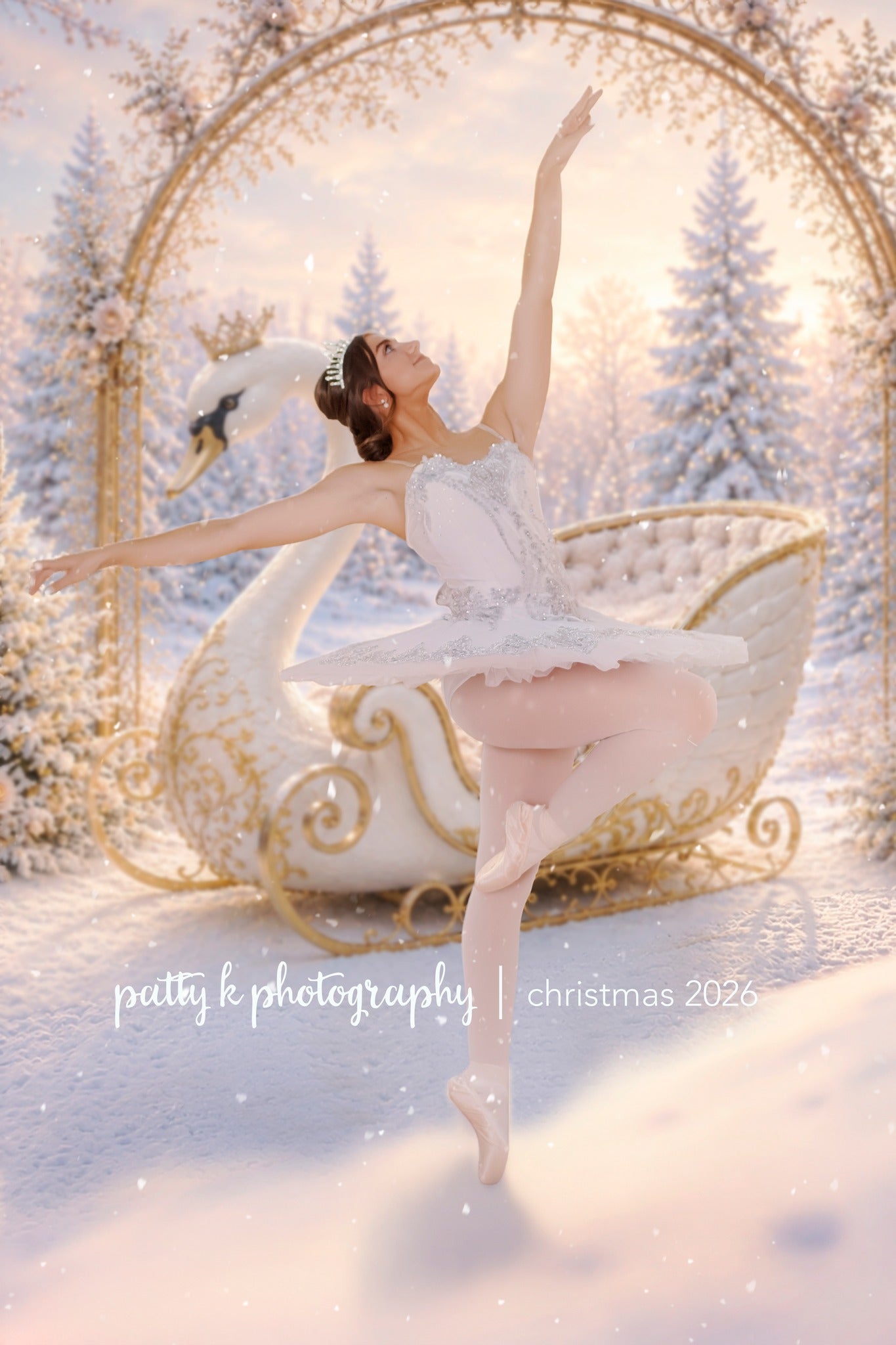 Swan Sleigh - PKP