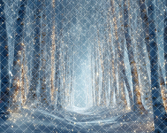 Birch Beauty Sight -MT