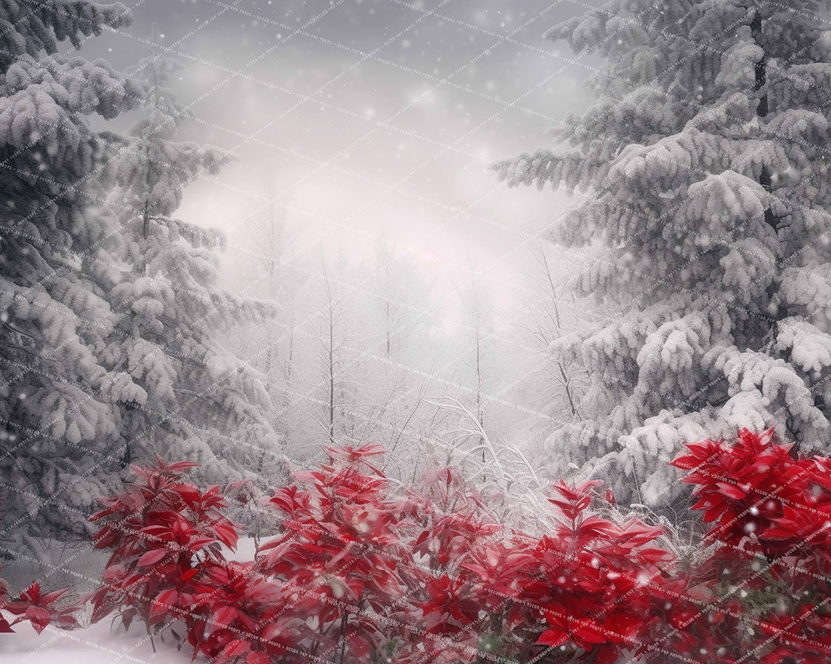 Crimson Path - MT