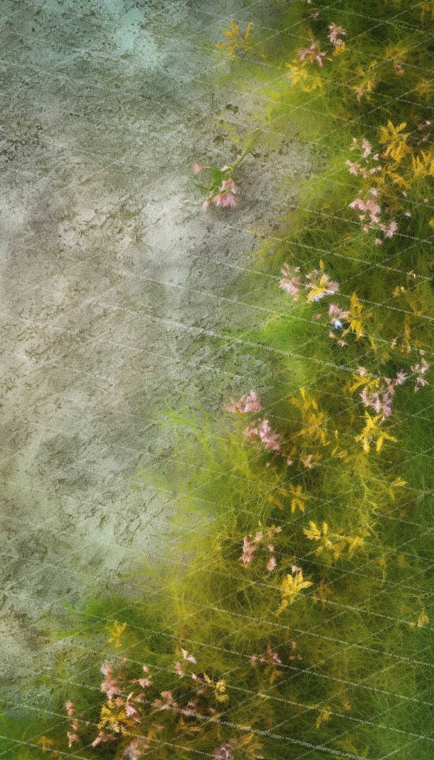 Cynthia Blooms - MT
