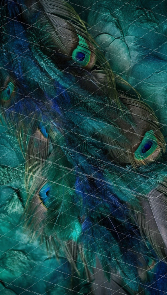 Glamour Collection - Full Plum - Sweep - MT