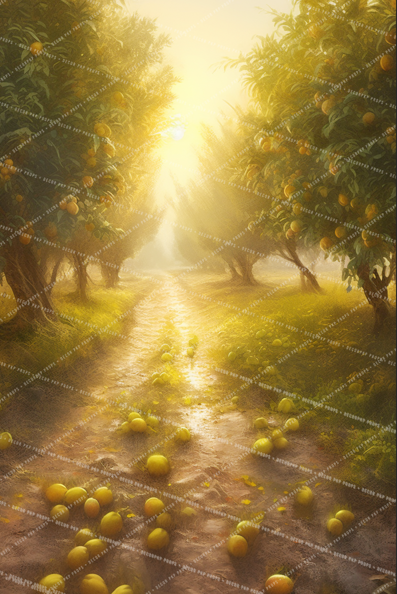 LEMON TRAIL - PKP