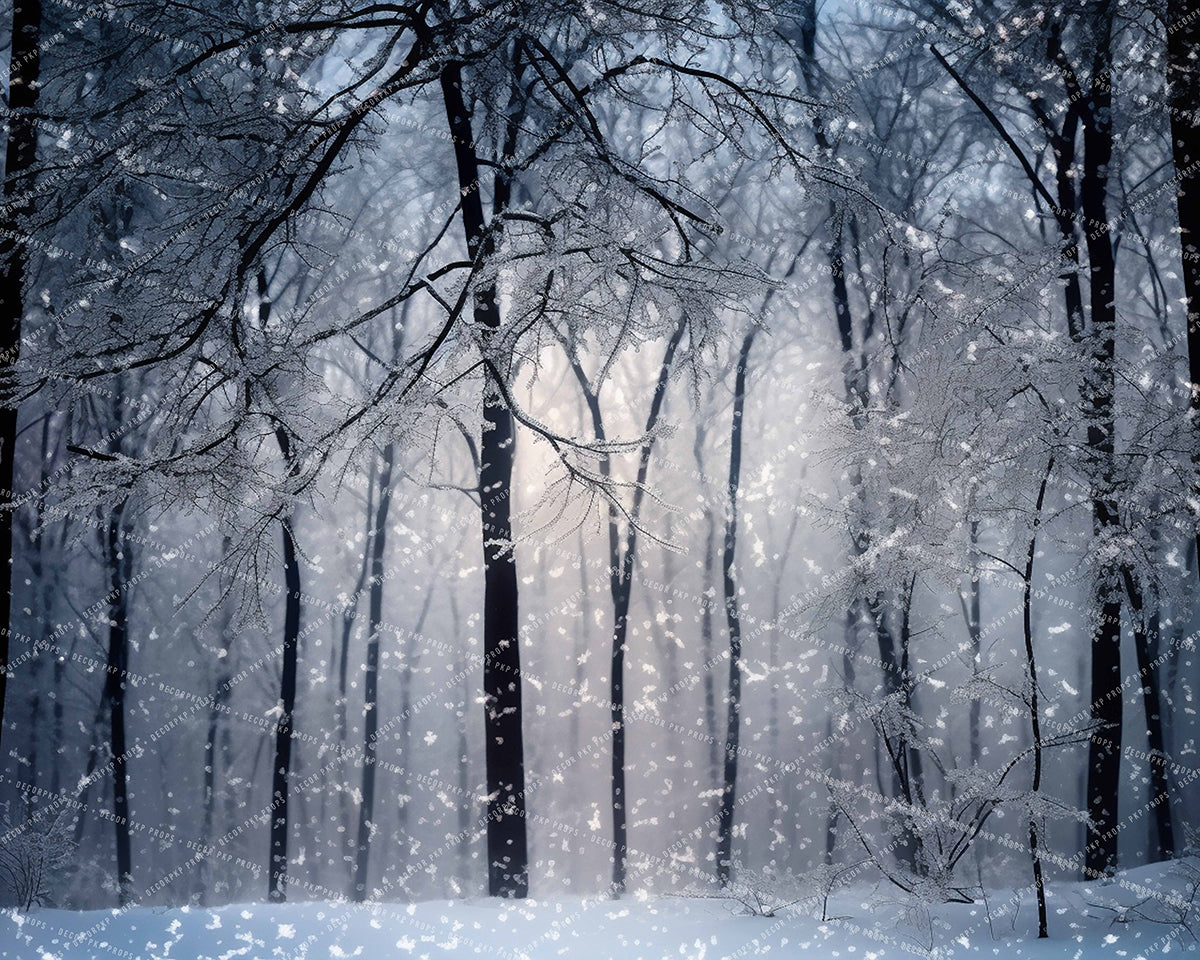 One Winter Walk - MT