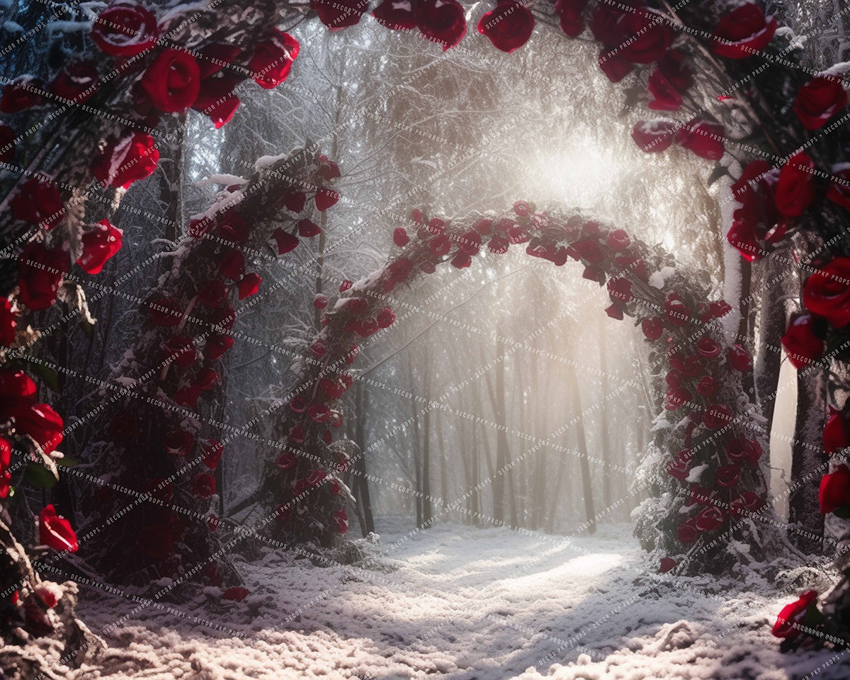 Path to the Beast's Castle - MT