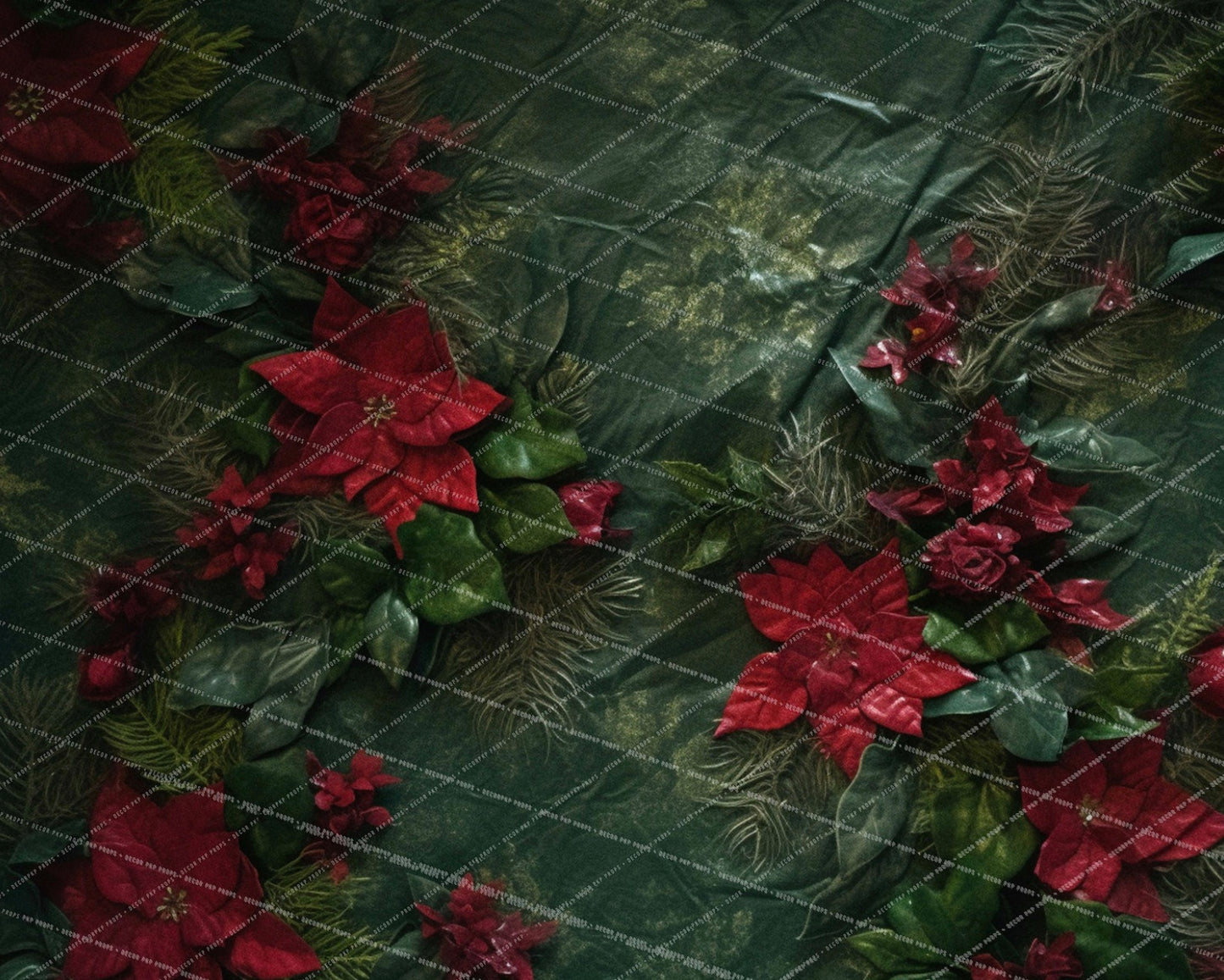 Poinsettia Blooms - MT
