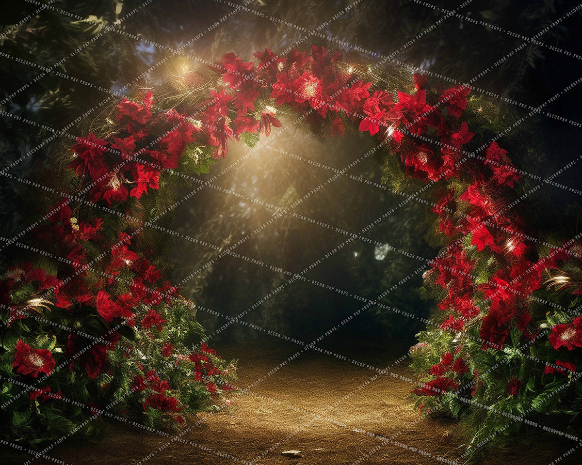 Poinsettia Pathway - MT