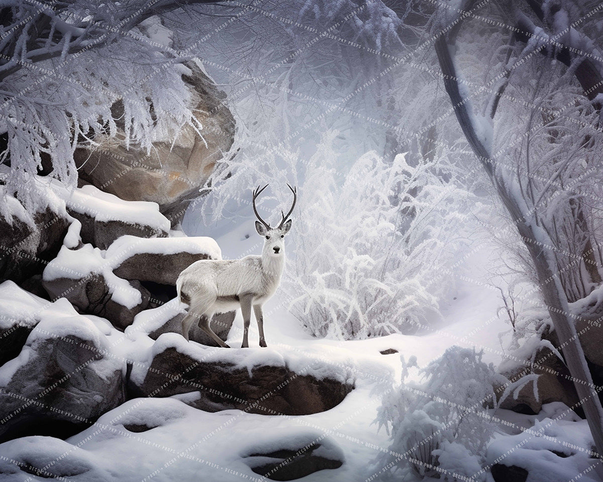 Powdered Perfection - MT