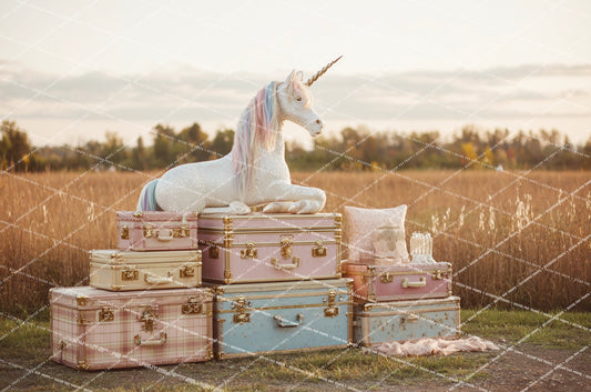 {HAUTE COUTURE} Collection - Unicorn Field