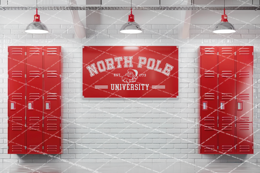 North Pole University - PKP