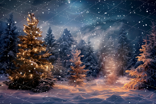 Magical Evergreen Forest - VH