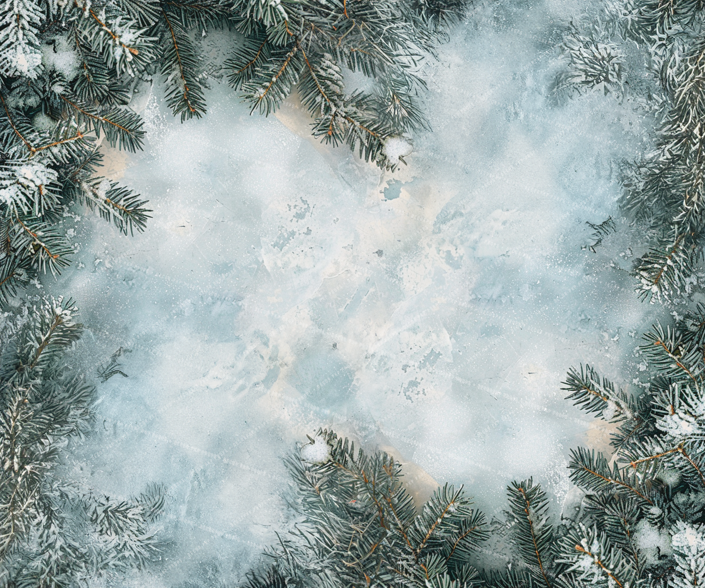 Snowy Evergreen - VH