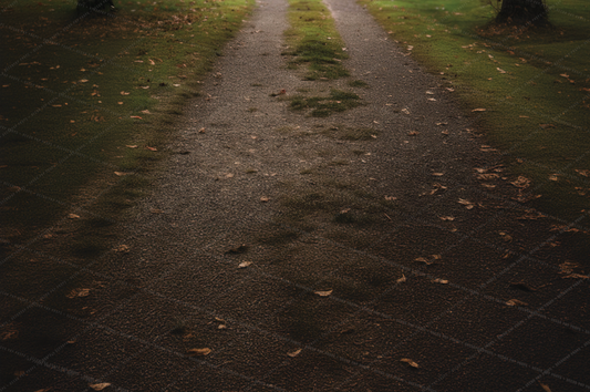 School House Floor Drop - VP