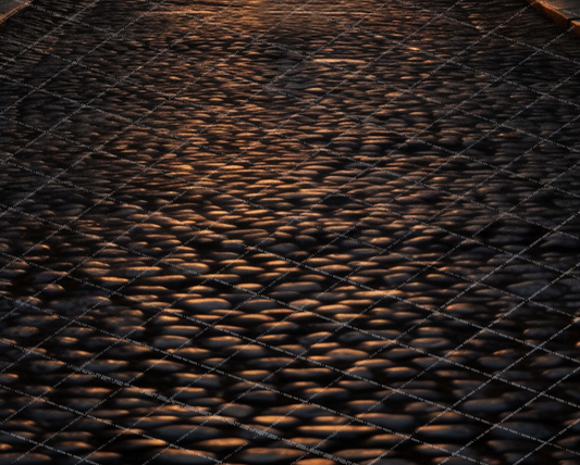 Christmas in Paris Floor - PKP