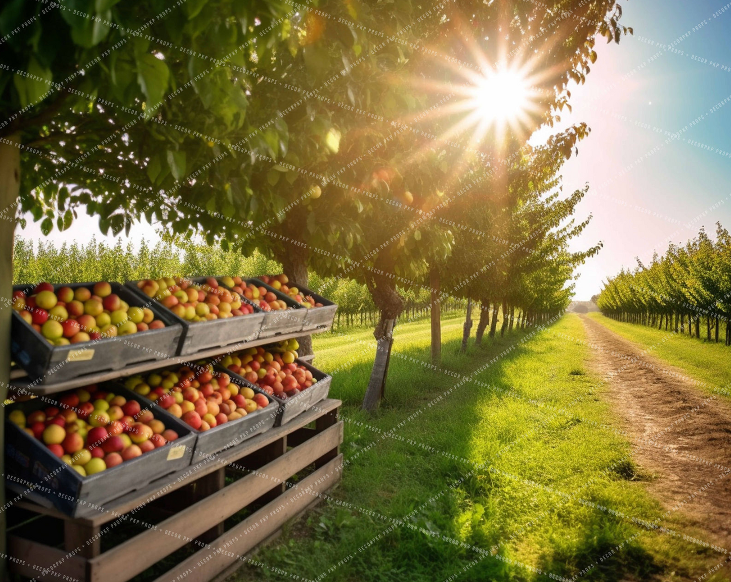 Apple for Days - MT