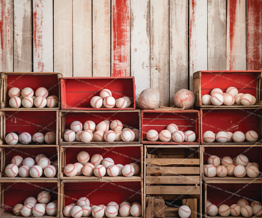 Baseball 2 Dainty - VP