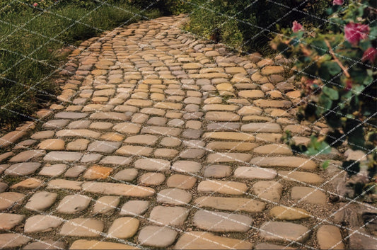 The Tower Floor - Live Action Fairytale Collection - PKP