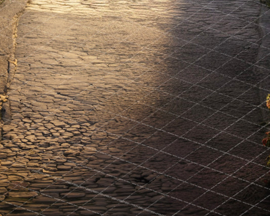 Provencial Town Floor - Live Action Fairytale Collection - PKP