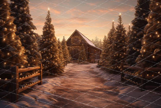 Winter Walk About - MT