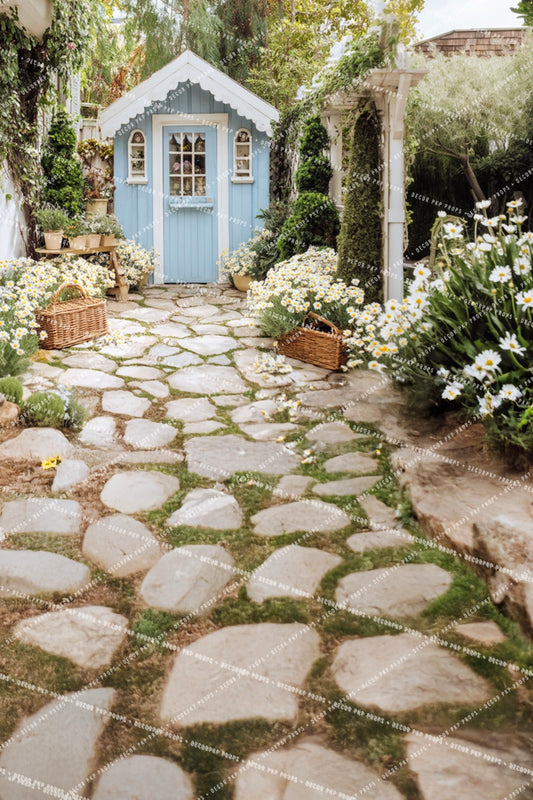 Daisy Blue Shed Sweep - PKP