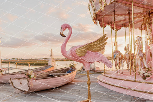 {HAUTE COUTURE} Collection - Mingo Couture