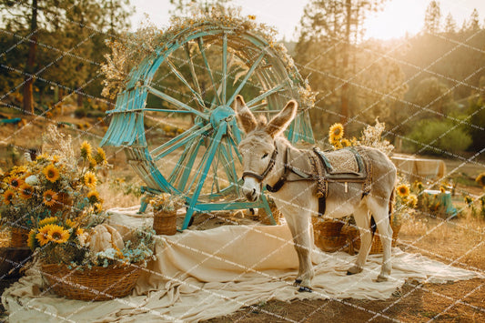 {HAUTE COUTURE} Collection - Mule Couture