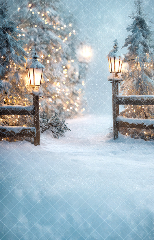 Snowy Field Night Sweep - VH