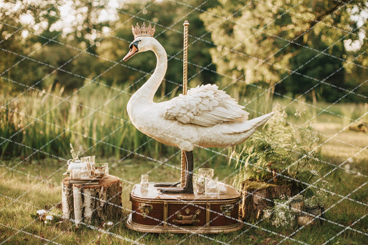 {HAUTE COUTURE} Collection - Swan Carousel