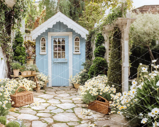 Daisy Blue Shed - PKP