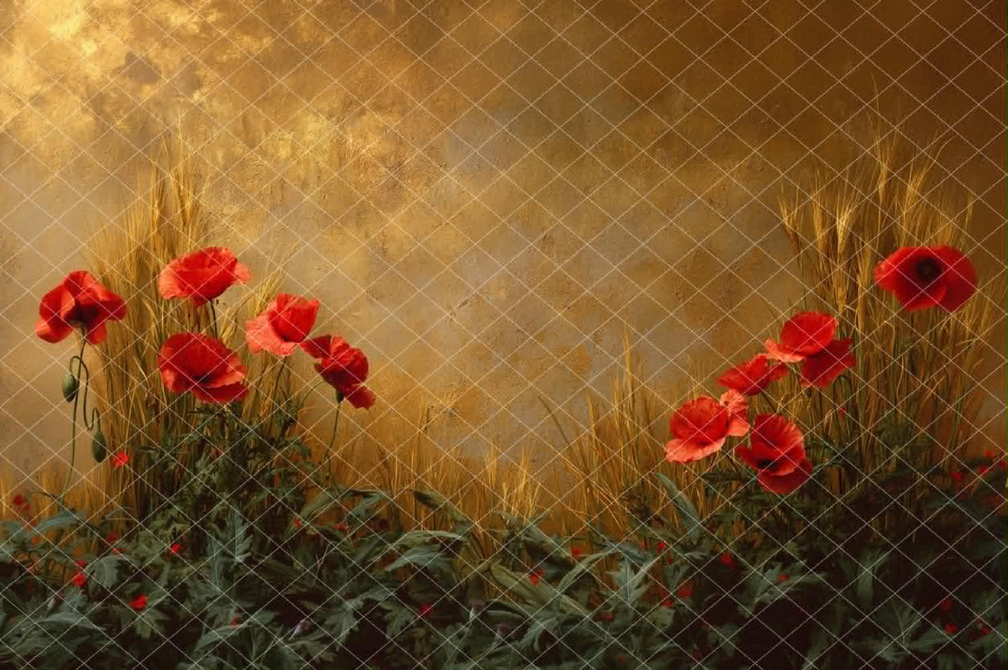 Fine Art Poppy - MT