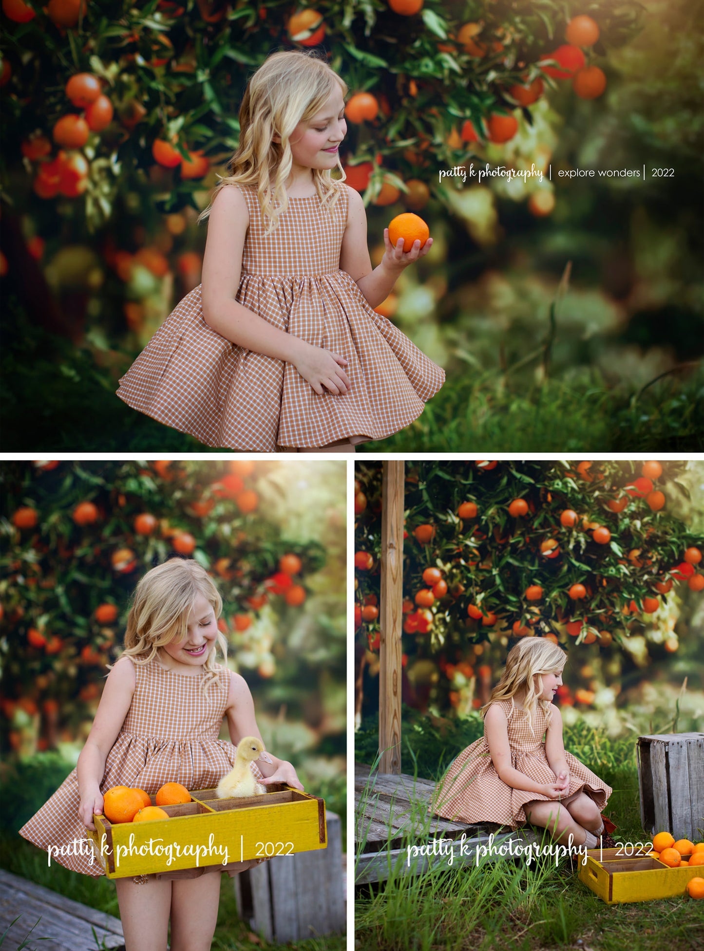 ORANGE BLOSSOMS