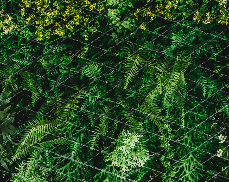 FERN FLOOR