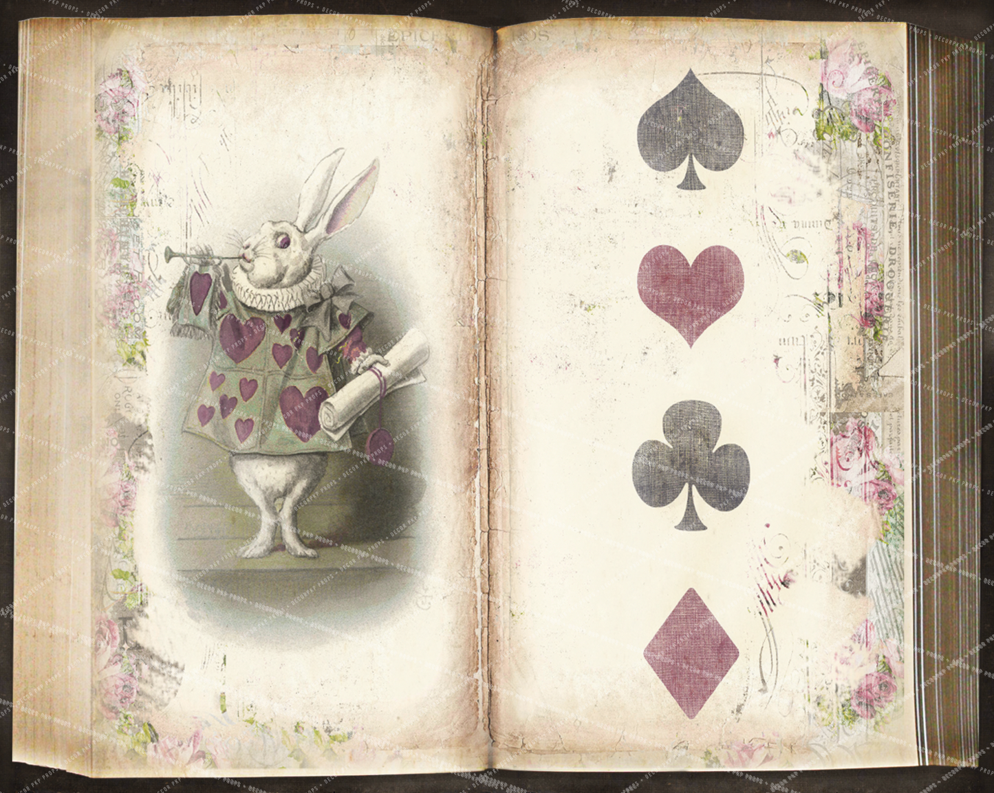 WONDERLAND #1