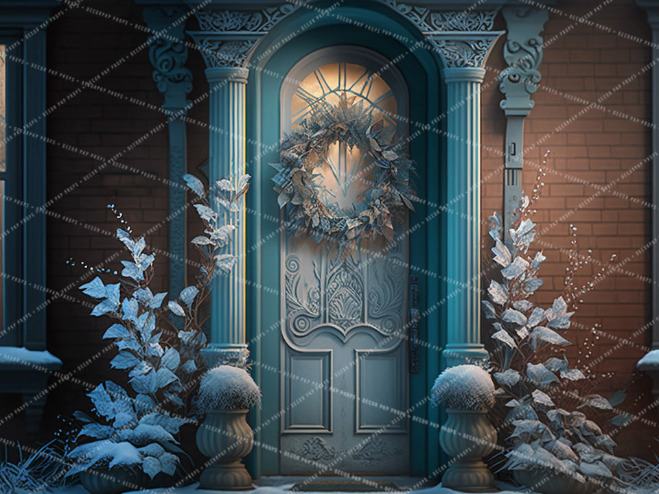 Elegant Winter Door - AS