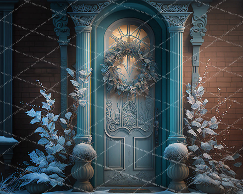 Elegant Winter Door - AS