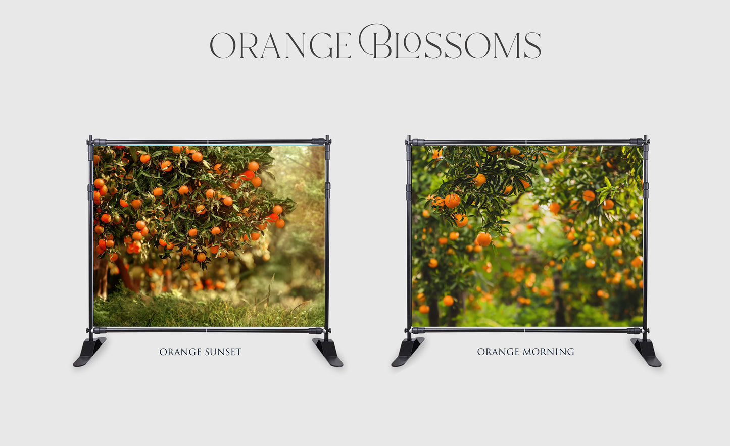 ORANGE BLOSSOMS