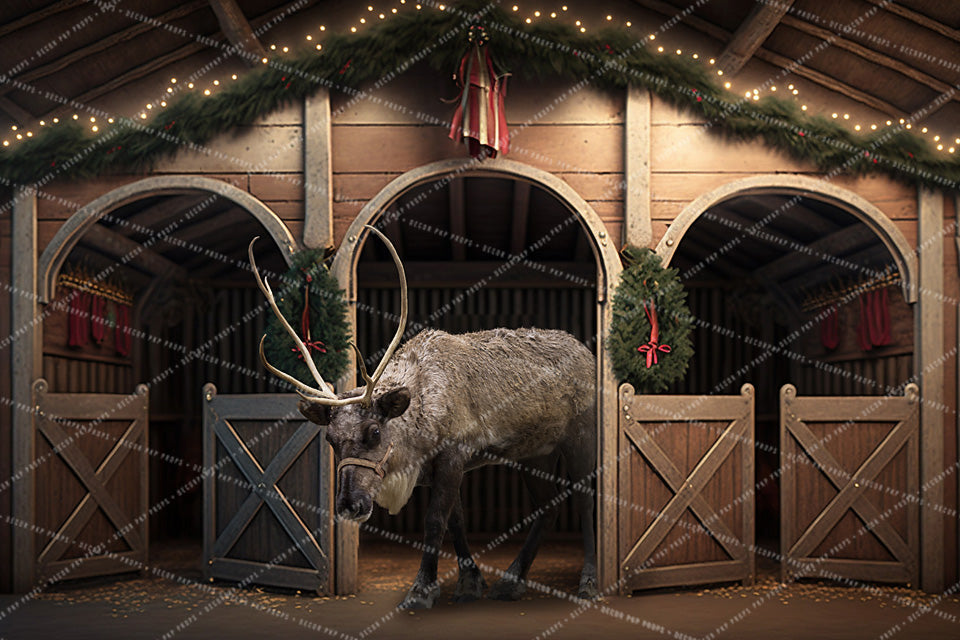 Rudolf Barn Door - AS