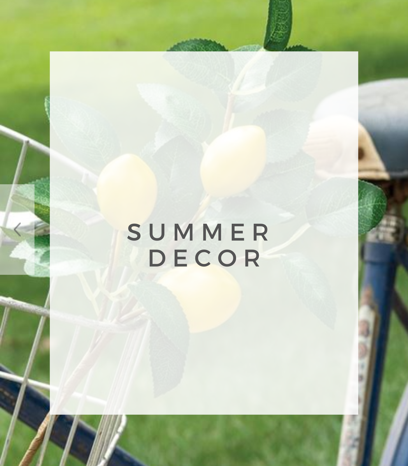 SUMMER DECOR