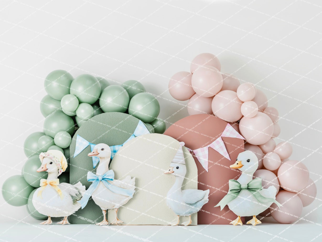 ONE SILLY GOOSE - AM