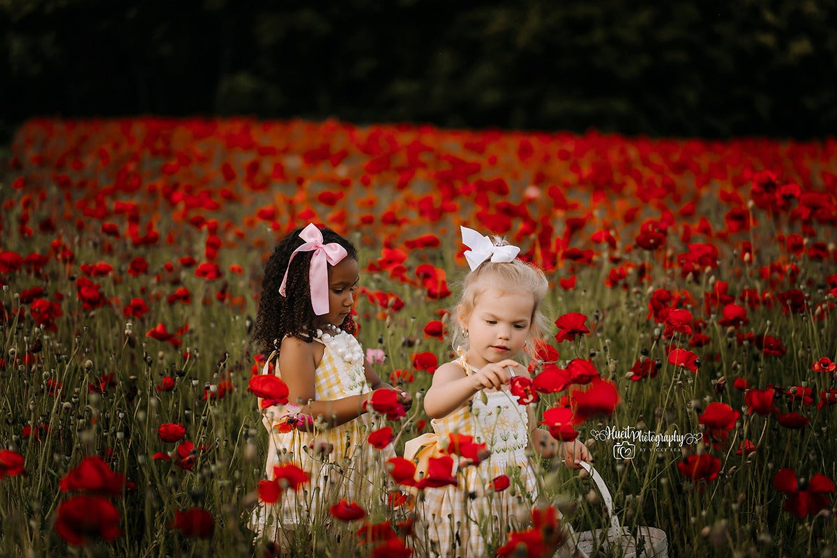 KENTUCKY POPPY FIELD - VICKY HUEIT