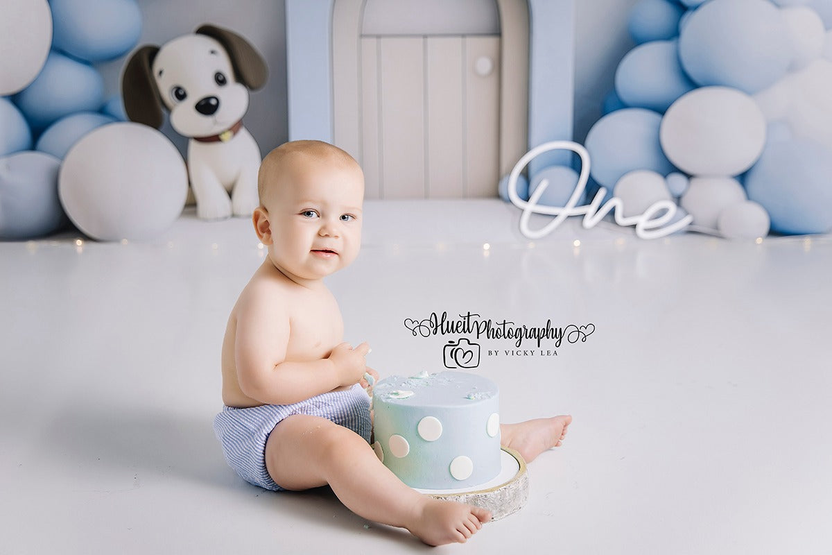 PUPPY BIRTHDAY - VH