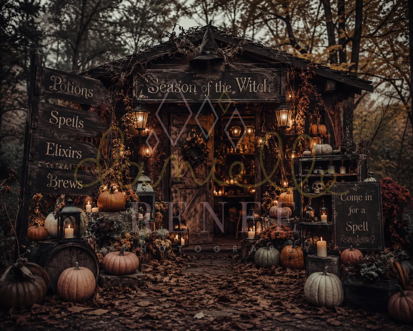SEASON OF THE WITCH - DR