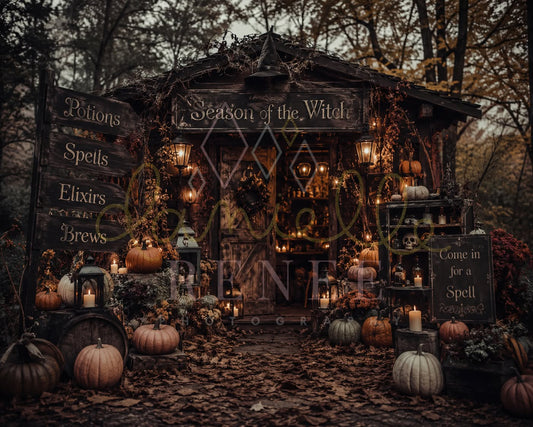 SEASON OF THE WITCH - DR